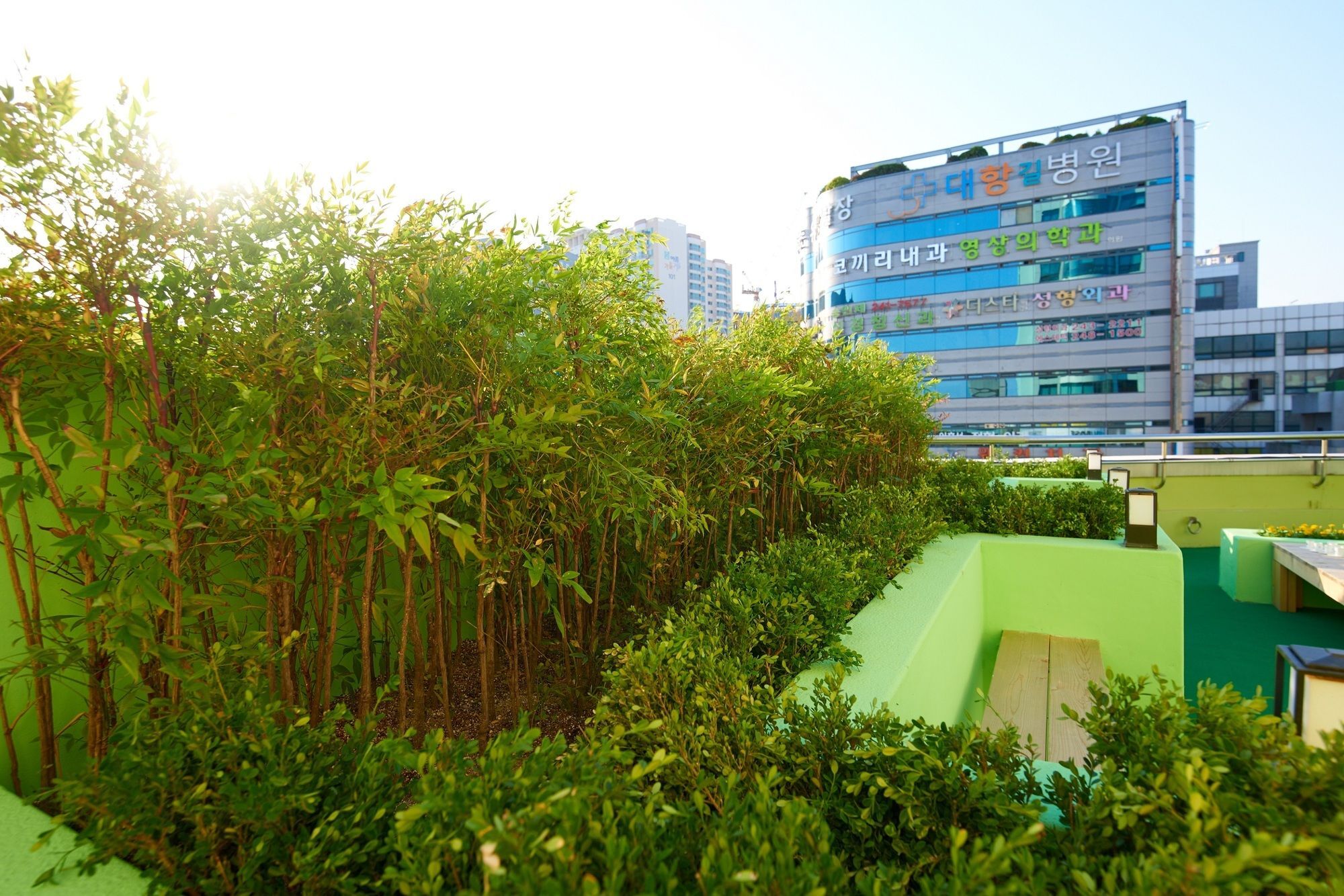 24 Guesthouse Jagalchi Busan Exteriör bild