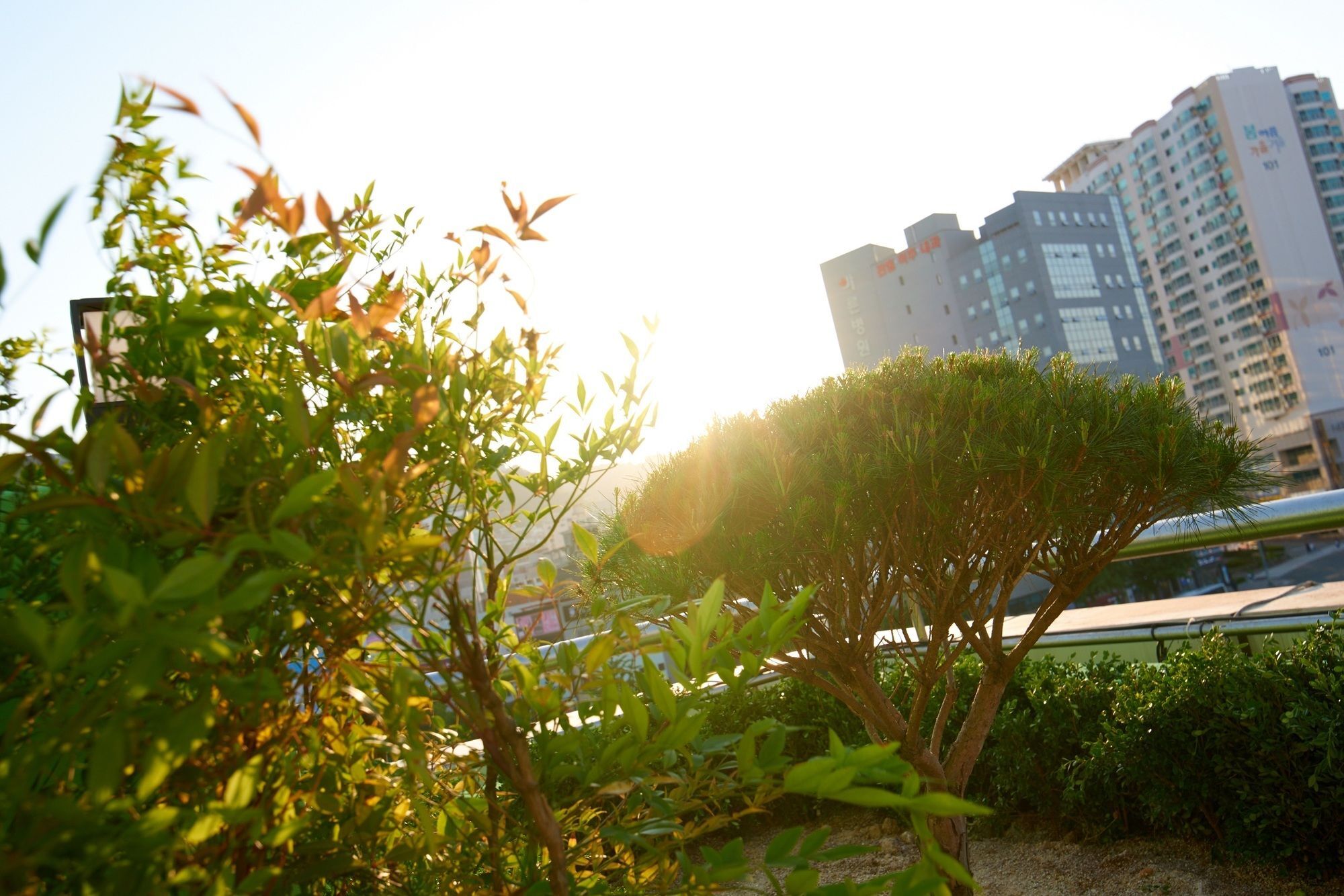 24 Guesthouse Jagalchi Busan Exteriör bild